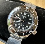 IMG_8431.jpeg