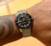 IMG_1393.jpeg