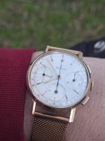 1000089616.jpg