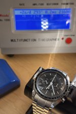 IMG_2166.jpeg