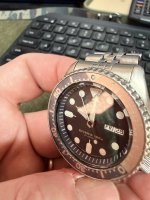 IMG_8793.jpeg