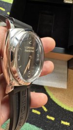 IMG_3809.jpeg