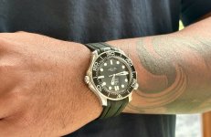 IMG_6074.jpeg